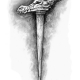 dragon_quill_by_zerojinx dragon_quill_by_zerojinx