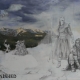 coverpainting coverpainting