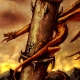 the_fall_of_the_dark_tower_by_zerojinx the_fall_of_the_dark_tower_by_zerojinx